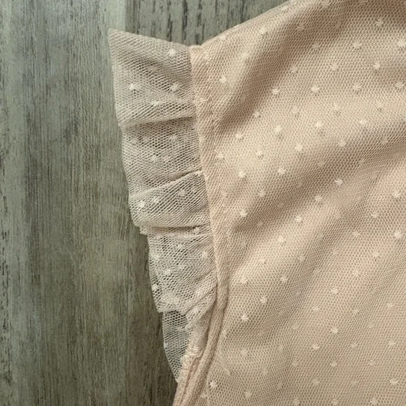 Adrianna Papell Blush Swiss Dot Sleeveless Blouse L – Ruffle Mesh Trim Top - Picture 3 of 9